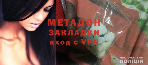 шишки Арсеньев