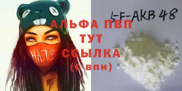 шишки Арсеньев