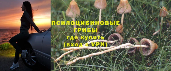 шишки Арсеньев
