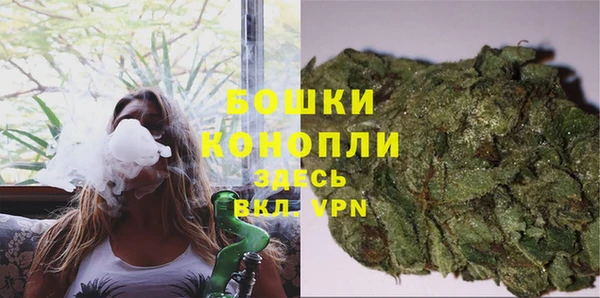 спиды Аркадак