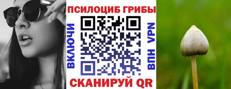 купить  цена  мега вход  Псилоцибиновые грибы GOLDEN TEACHER  Таруса 