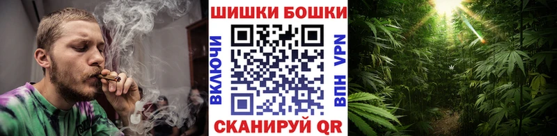 Бошки Шишки гибрид OMG вход Таруса